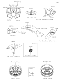 KAWASAKI, ZX1002JRFNN 2024,ZX1002JRANN 2024, DECALS
