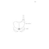 KAWASAKI, KX252AJF 2018,KX252AKF 2019, DECALS